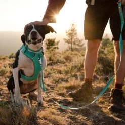 Ruffwear Front Range Hondentuig, Aurora Teal 29 Ruffwear Front Range Hondentuig, Aurora Teal -Hondenbenodigdheden Korting 215896 215897 215898 ruffwear frontrange hundegeschirr aurorateal hs 09 4