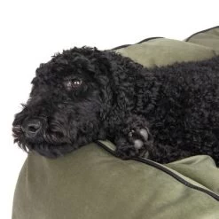 Konin Hondenbed -Hondenbenodigdheden Korting 217822 konin pudel fg 8810 8
