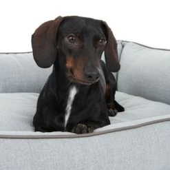 Hondenbed Skara -Hondenbenodigdheden Korting 218996 hundebett skara fg 8751 2