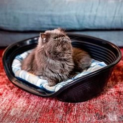 Ferplast Hondenkussen Scott, Blauw -Hondenbenodigdheden Korting 224697 224499 224698 224699 ferplast hundekissen scott blau hs 04 7