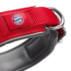 Hunter Kraag Neopreen Reflectie FC Bayern München 10 Hunter Kraag Neopreen Reflectie FC Bayern München -Hondenbenodigdheden Korting 225596 225597 225598 225696 225697 hunter halsband neopren reflect fcbayern muenchen hs 04 2