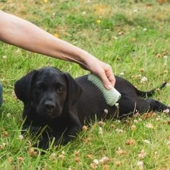 Pet Teezer Puppyborstel -Hondenbenodigdheden Korting 230724 pet teezer welpenbuerste hs 17 0