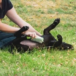 Pet Teezer Puppyborstel -Hondenbenodigdheden Korting 230724 pet teezer welpenbuerste hs 18 2