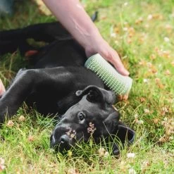 Pet Teezer Puppyborstel -Hondenbenodigdheden Korting 230724 pet teezer welpenbuerste hs 19 6