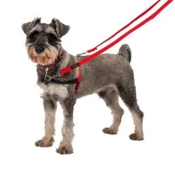 HALTI Trainingslijn -Hondenbenodigdheden Korting 235202 coa halti trainingsleine rot hs1 0