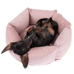 Hondenbed Manila -Hondenbenodigdheden Korting 235399 hundebett manila fg 0288 2