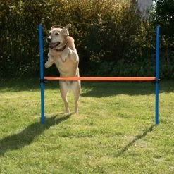 Agility Fun & Sport Hoogtesprong -Hondenbenodigdheden Korting 23799 agility fun sport huerde fg 8 6