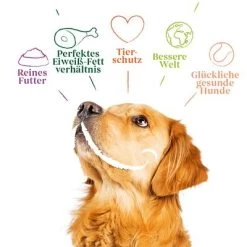 Yarrah Bio Hondenvoer Paté Met Bio Kip -Hondenbenodigdheden Korting 23948 bio yarrah pate chicken 400g hs 02 7