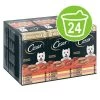 Megapak Cesar Kuipjes 24 X 150 G Hondenvoer 2 Megapak Cesar Kuipjes 24 X 150 G Hondenvoer -Hondenbenodigdheden Korting 251097 mars megapack cesar scjale classicterrine 24x150g hs 02 8