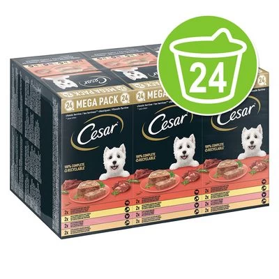 Megapak Cesar Kuipjes 24 X 150 G Hondenvoer 3 Megapak Cesar Kuipjes 24 X 150 G Hondenvoer