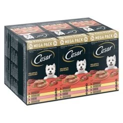 Megapak Cesar Kuipjes 24 X 150 G Hondenvoer 7 Megapak Cesar Kuipjes 24 X 150 G Hondenvoer -Hondenbenodigdheden Korting 251097 pla mars megapack cesar scjale classicterrine 24x150g hs 01 6