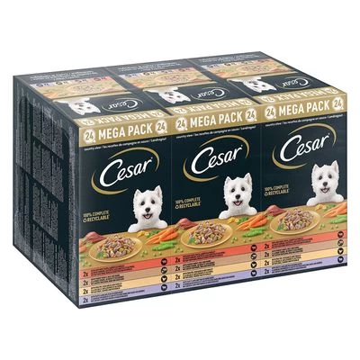 Megapak Cesar Kuipjes 24 X 150 G Hondenvoer 5 Megapak Cesar Kuipjes 24 X 150 G Hondenvoer - Afbeelding 3