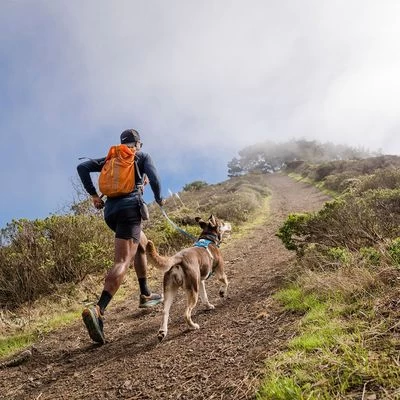 RUFFWEAR Hi & Light Harness, Blue Dusk 4 RUFFWEAR Hi & Light Harness, Blue Dusk - Afbeelding 2