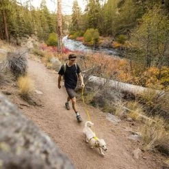 RUFFWEAR Hi & Light Leash 26 RUFFWEAR Hi & Light Leash -Hondenbenodigdheden Korting 262501 accapi ruffwear hi light leash lichengreen hs 12 0