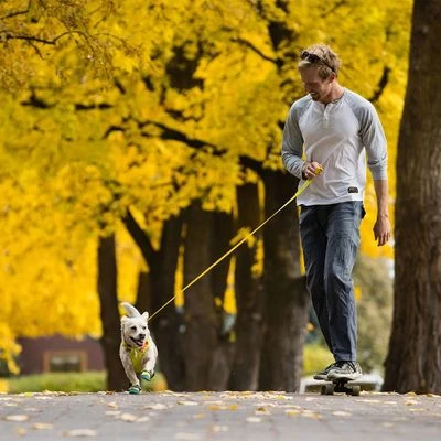 RUFFWEAR Hi & Light Leash 10 RUFFWEAR Hi & Light Leash - Afbeelding 8