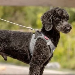 Curli Extreem Sterke Zaklijn -Hondenbenodigdheden Korting 267896 267897 ultrastarke taschenleine hs 05 3