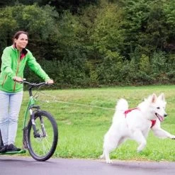 Curli Extreem Sterke Zaklijn -Hondenbenodigdheden Korting 267896 267897 ultrastarke taschenleine hs 07 2