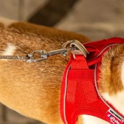 Curli Extreem Sterke Zaklijn -Hondenbenodigdheden Korting 267896 267897 ultrastarke taschenleine hs 10 7