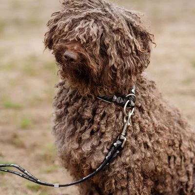 Hurtta Bare Trek-stop Halsband, Coal 8 Hurtta Bare Trek-stop Halsband, Coal - Afbeelding 6