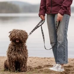 Hurtta Bare Verstelbare Looplijn, Coal -Hondenbenodigdheden Korting 288348 hurtta bare verstellbare fuehrleine coal hs 02 1