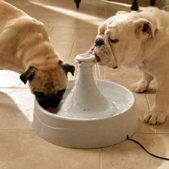 PetSafe® Drinkwell® Drinkfontein 360 9 PetSafe® Drinkwell® Drinkfontein 360 -Hondenbenodigdheden Korting 29078 PLA Drinkwell Trinkbrunnen Drinkwell360 2
