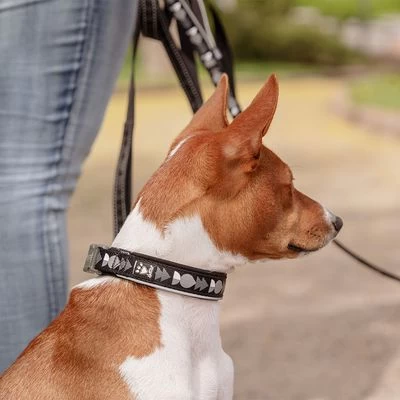 Hurtta Bare Halsband, Coal - Afbeelding 3