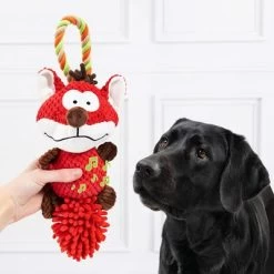 Doglove Hondenspeelgoed Vos 10 Doglove Hondenspeelgoed Vos -Hondenbenodigdheden Korting 303196 edupet doglove hundespielzeug fuchs hs 03 6