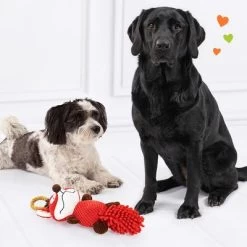 Doglove Hondenspeelgoed Vos 12 Doglove Hondenspeelgoed Vos -Hondenbenodigdheden Korting 303196 edupet doglove hundespielzeug fuchs hs 05 9