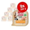 RINTI Lichte Buit 9 X 300 G 1 RINTI Lichte Buit 9 X 300 G -Hondenbenodigdheden Korting 310396 finnern rinti leichtebeute huhn 9x300g hs 01 6