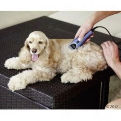 Oster Huisdierentondeuse-Set 220 V -Hondenbenodigdheden Korting 314320 oster heimtierschermaschinenset hund 08 2012 5