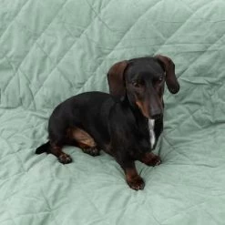 Modern Living Hondendeken Victoria -Hondenbenodigdheden Korting 318002 decke victoria fg 6050 2