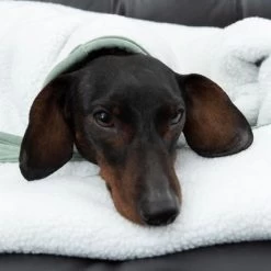 Modern Living Hondendeken Victoria -Hondenbenodigdheden Korting 318002 decke victoria fg 6055 4