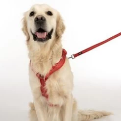 TIAKI Tuig Neopreen, Rood -Hondenbenodigdheden Korting 323005 neoprene geschirr l fg 1669 5