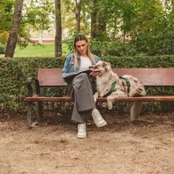 Hondentuig Nomad Tales Blush, Emerald -Hondenbenodigdheden Korting 323020 nomad tales blush geschirr emerald 01 7