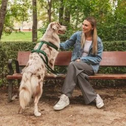 Hondentuig Nomad Tales Blush, Emerald -Hondenbenodigdheden Korting 323020 nomad tales blush geschirr emerald 02 8