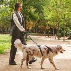 Hondentuig Nomad Tales Blush, Emerald -Hondenbenodigdheden Korting 323020 nomad tales blush geschirr emerald 03 1