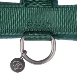 Hondentuig Nomad Tales Blush, Emerald -Hondenbenodigdheden Korting 323020 nomad tales blush geschirr emerald fg 1286 6