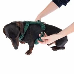 Hondentuig Nomad Tales Blush, Emerald -Hondenbenodigdheden Korting 323024 blush s fg 6924 8