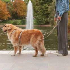 Hondentuig Nomad Tales Blush, Taupe - Beige -Hondenbenodigdheden Korting 323028 nomad tales blush geschirr taupe 01 2