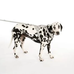 TIAKI Tuig Neopreen, Grijs -Hondenbenodigdheden Korting 323033 neoprene geschirr l fg 0470 9