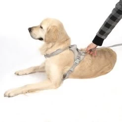 TIAKI Tuig Neopreen, Grijs -Hondenbenodigdheden Korting 323033 neoprene geschirr l fg 1703 5