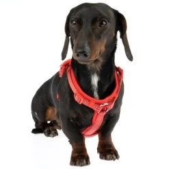 TIAKI Tuig Neopreen, Rood -Hondenbenodigdheden Korting 323397 neoprene geschirr s fg 1487 1