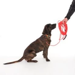 TIAKI Neo Comfort Sleeplijn, Rood -Hondenbenodigdheden Korting 323596 neo comfort mit hund fg 8003 2