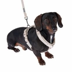 Hondentuig Nomad Tales Blush, Taupe - Beige -Hondenbenodigdheden Korting 323796 325296 blush s fg 6920 9