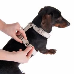 Hondentuig Nomad Tales Blush, Taupe - Beige -Hondenbenodigdheden Korting 323796 blush s fg 6905 5