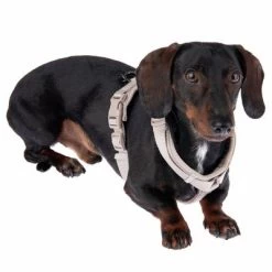 Hondentuig Nomad Tales Blush, Taupe - Beige -Hondenbenodigdheden Korting 323796 blush s fg 6910 5