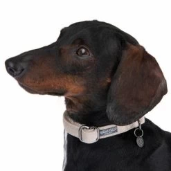 Halsband Nomad Tales Blush, Taupe -Hondenbenodigdheden Korting 324699 blush s fg 6993 7