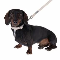 Halsband Nomad Tales Blush, Taupe -Hondenbenodigdheden Korting 324699 blush s fg 6996 2