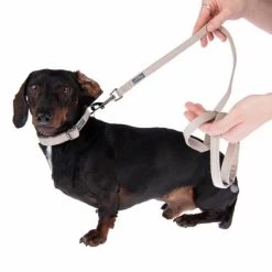 Halsband Nomad Tales Blush, Taupe -Hondenbenodigdheden Korting 324699 blush s fg 7002 7