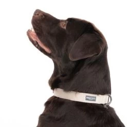 Halsband Nomad Tales Blush, Taupe -Hondenbenodigdheden Korting 324701 blush l fg 7179 6